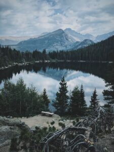 Vertical shot of a  big pond surrounded by trees with a beautiful mountain in the background